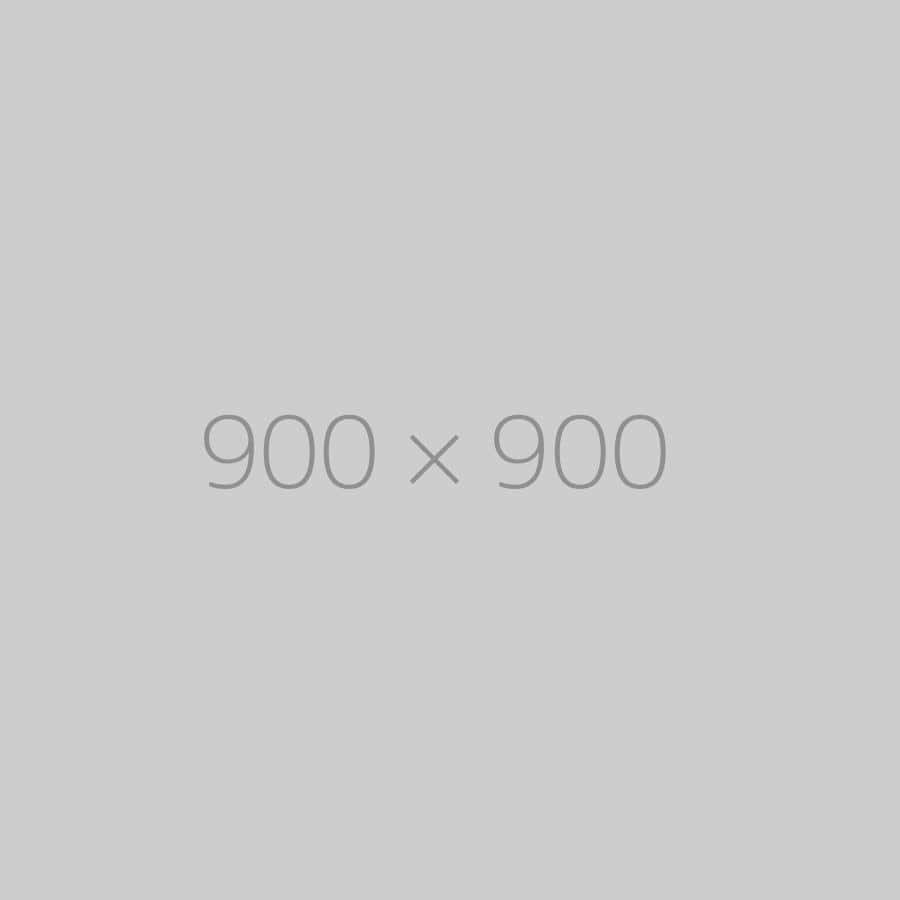 hongo 900×900-ph